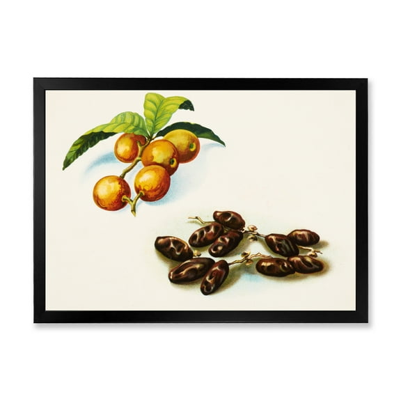 Designart 'Ancient Fruits IV' Farmhouse Framed Art Print