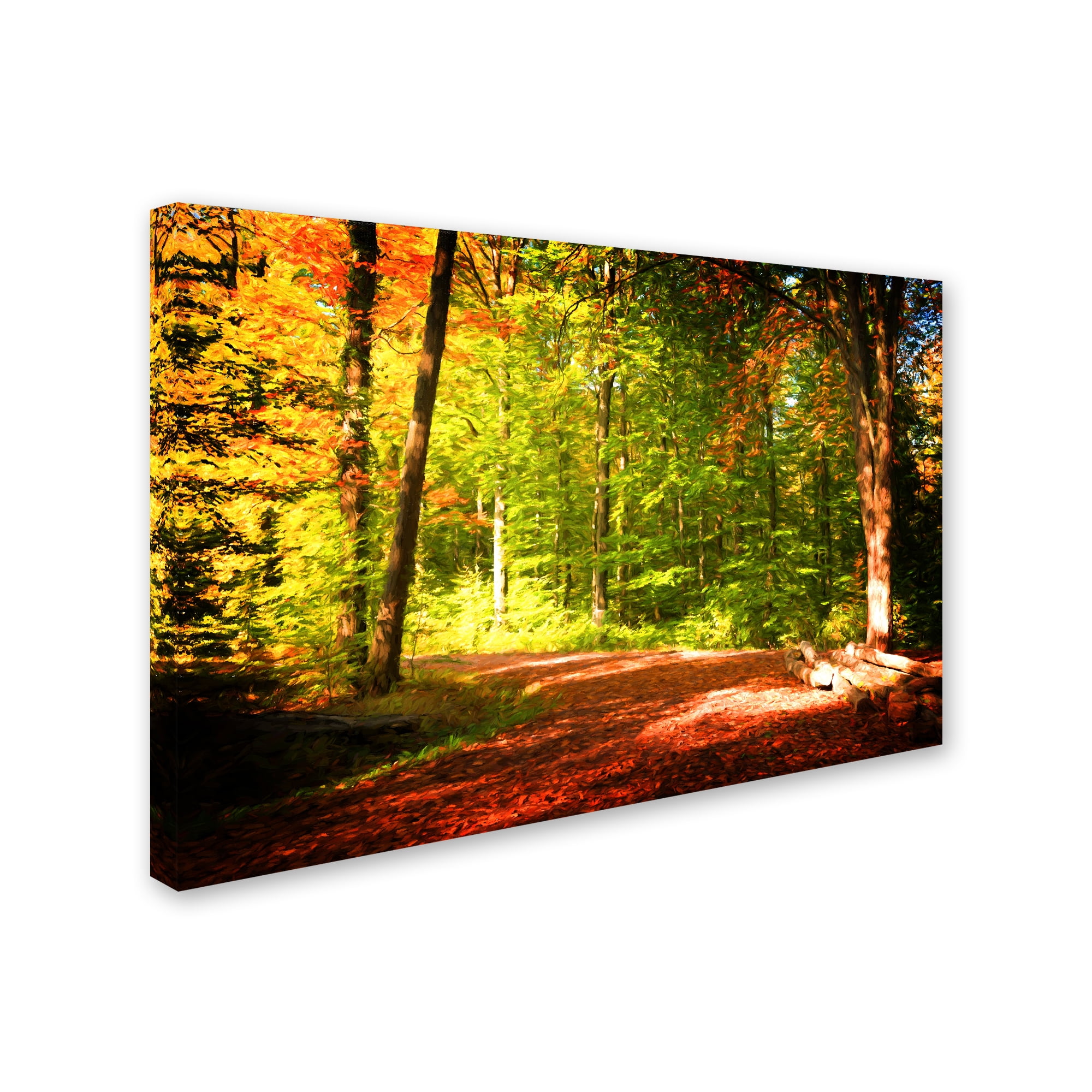 Trademark Fine Art "Breaking The Fall Silence" Canvas Art by Philippe Sainte-Laudy