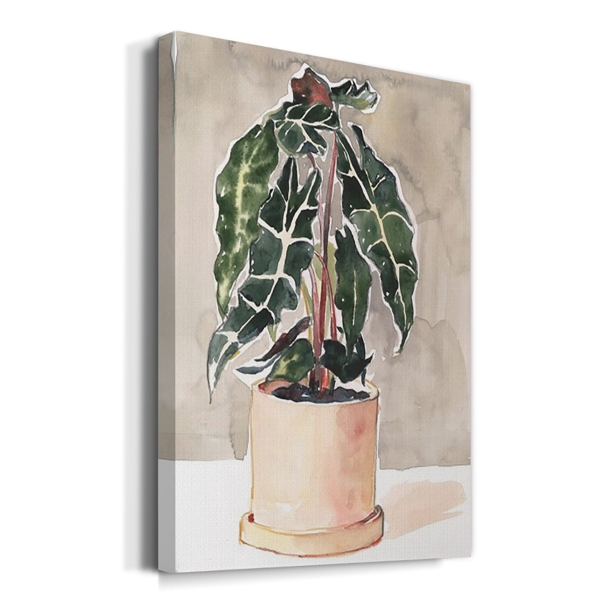 Potted Houseplant I Premium Gallery Wrapped Canvas - Ready to Hang