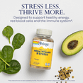 thumbnail image 3 of Solaray Mega Vitamin B-Stress, Two-Stage Timed-Release | Specially Formulated w/B Complex Vitamins for Stress Support | Non-GMO | Vegan | 120 Tabs, 3 of 7