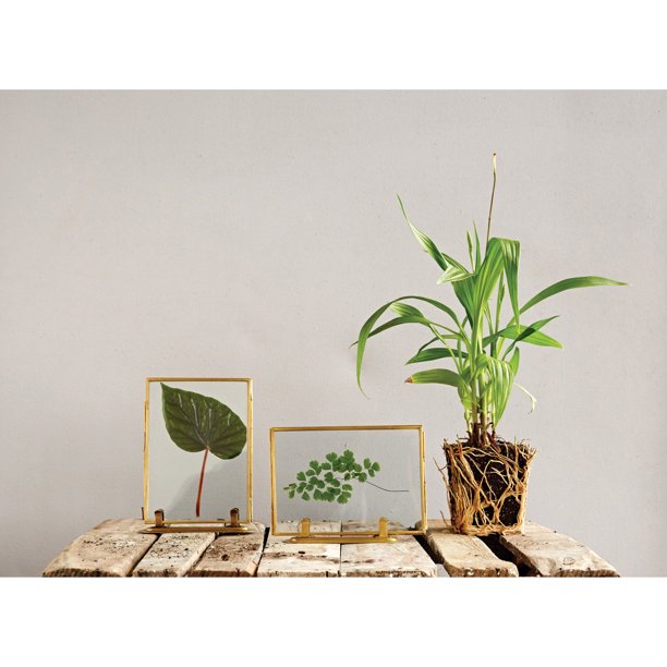 Creative CoOp Glass & Brass Photo Frames with Stands (Set of 2 Styles)
