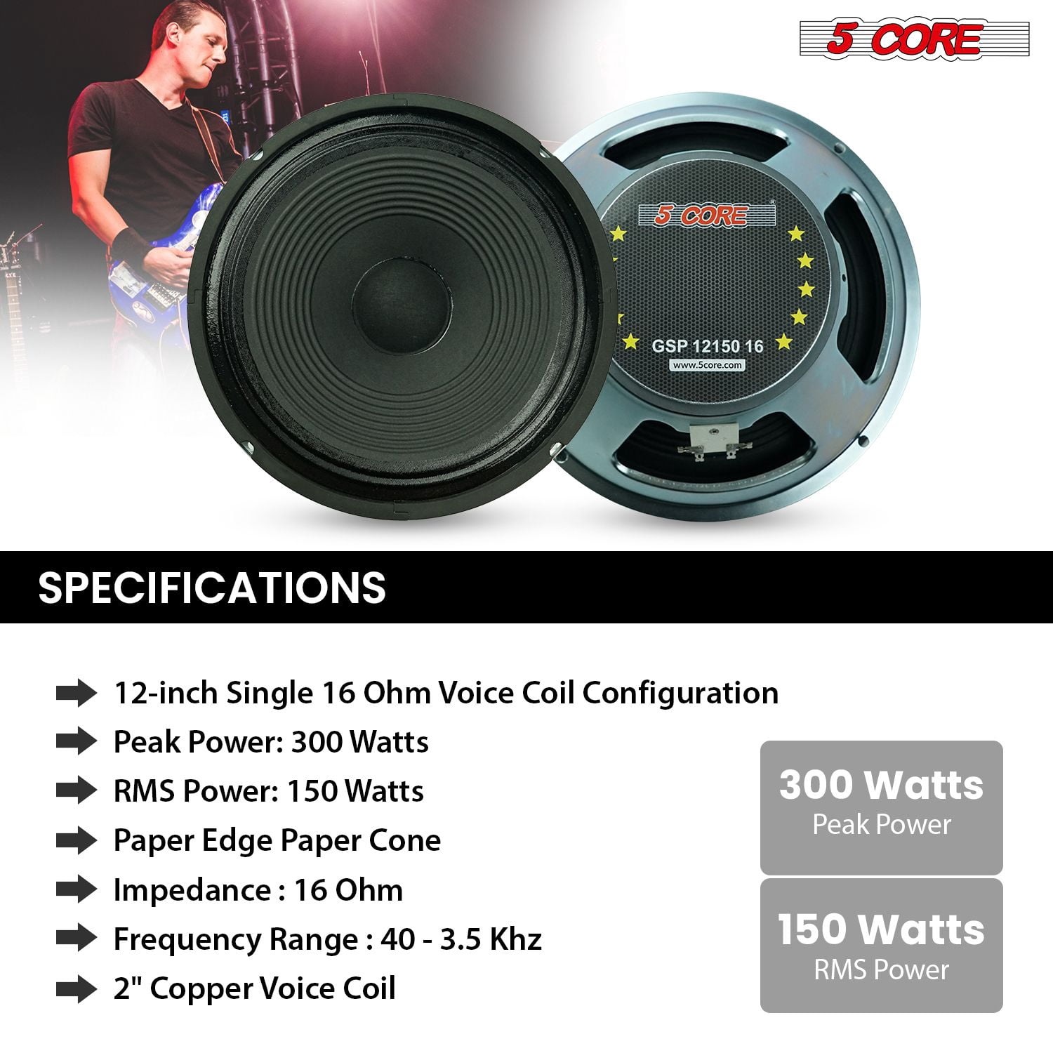 12 Inch Guitar Speaker 300W Peak Power, 8 Ohm / 16 Ohm Impedance, 40Oz Magnet, 2" Voice Coil, 89dB Sensitivity, 40Hz-3.5kHz Frequency Response, for Guitar Amplifier Cabinets, Combo Amps, and Replacem
