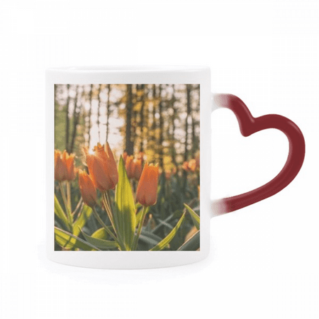 

Flower Forestry Science Nature Scenery Heat Sensitive Mug Red Color Changing Stoneware Cup