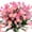 Pink, variant on Sinhoon Artificial Daisies Flowers Outdoor UV Resistant 4 Bundles Fake Faux Plants Shrubs Plastic Bushes for Hanging Planter Indoor Outside Decor (Fushia)