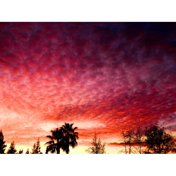 Pink Sunset Purple Sky Colorful Clouds Colors Inch By 30 Inch Laminated Poster With Bright Colors And Vivid Imagery Fits Perfectly In Many Attractive Frames Walmart Com Walmart Com