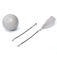 thumbnail image 1 of LED Teaser Ball with Replacement Head Electric Cat Toys for Pet, 1 of 8