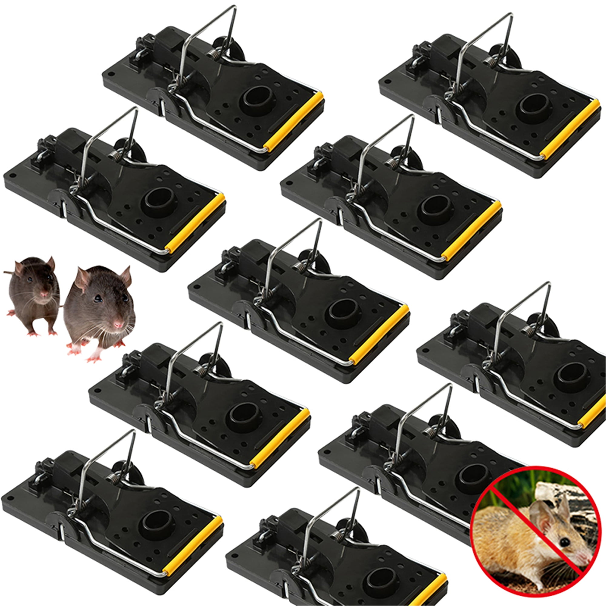 Elbourn Mouse Trap Set Mouse Traps Indoor for Home, Traps for Mice and  Rats, Mouse Traps for Outdoor, Snap Mouse Traps - 8 Pack 