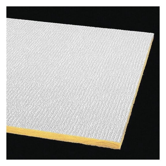 Shasta Ceiling Tile, 24 in W x 48 in L, Square Lay-In, 15/16 in Grid Size, 16 PK