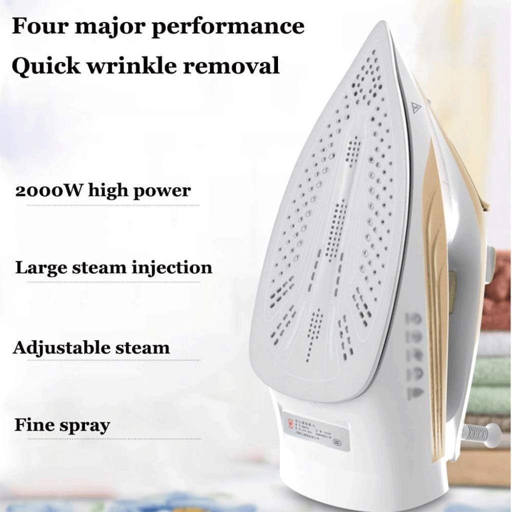 Speed Heat Steam Iron Vertical Steamer with Stainless Steel Sole Plate, Self Cleaning Function