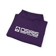 thumbnail image 3 of Osiris Shoes D3 v2 Skate 1996 Direct Influence Vintage Classic Hoodie Print - 2XL / Purple, 3 of 5