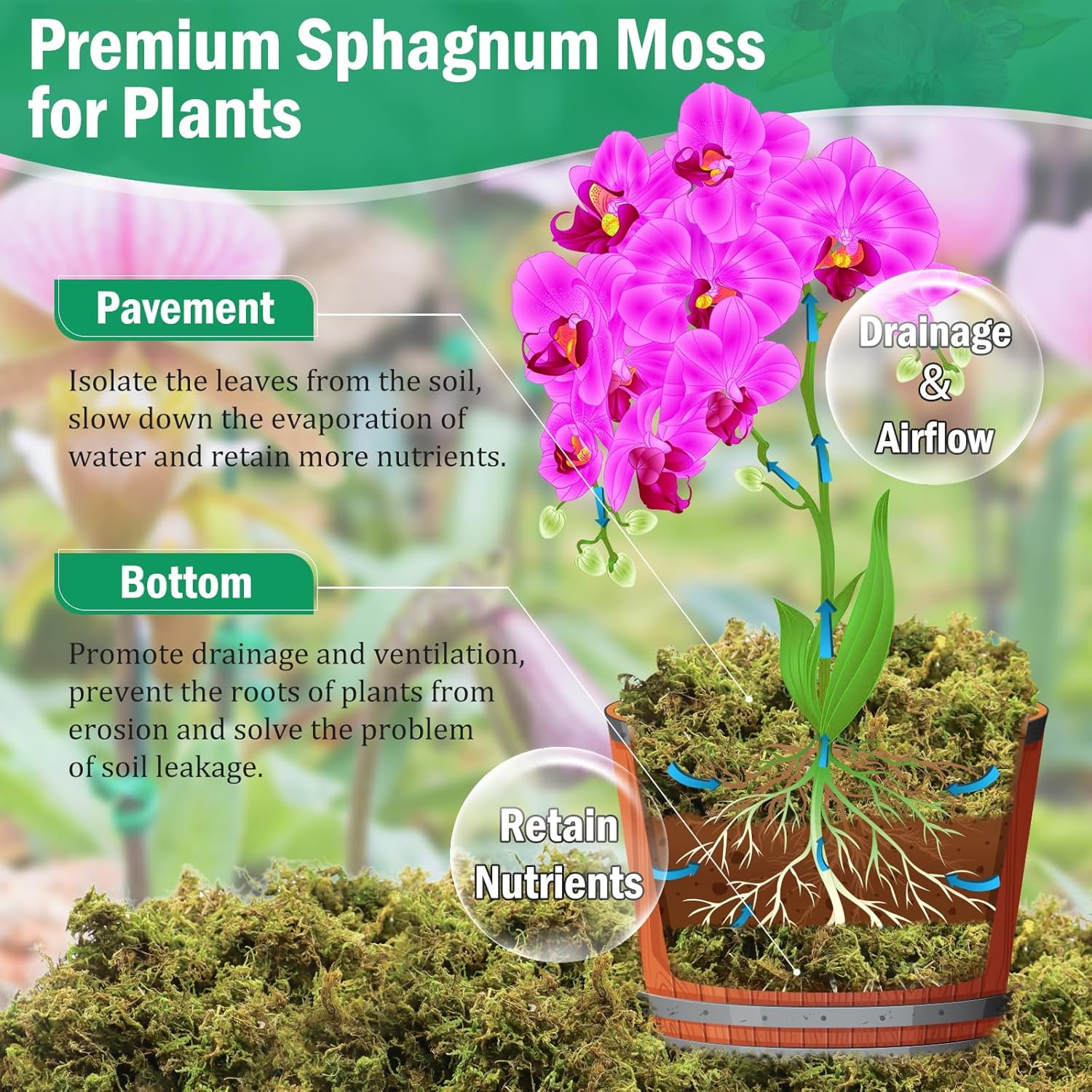 2.8LBS Premium Sphagnum Moss for Plants- 55QT Natural Dried Plant Moss for Potted Plants, Orchid Moss for Repotting, Soft Green Decorative Moss for Succulents, Reptiles & DIY Crafts