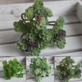 thumbnail image 3 of Micro Landscape Simulation 24 Heads Succulents Home Decoration Fake Plants, 3 of 8