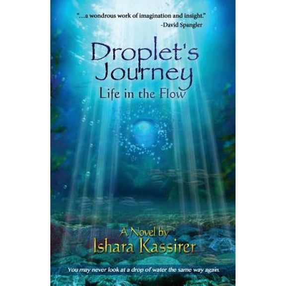 Droplet's Journey: Life in the Flow