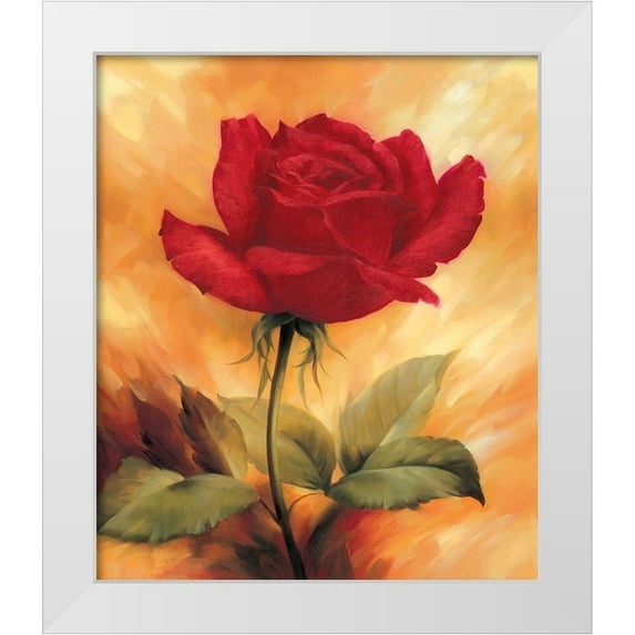 Skorupska, Patrycja 12x14 White Modern Wood Framed Museum Art Print Titled - The Red Rose