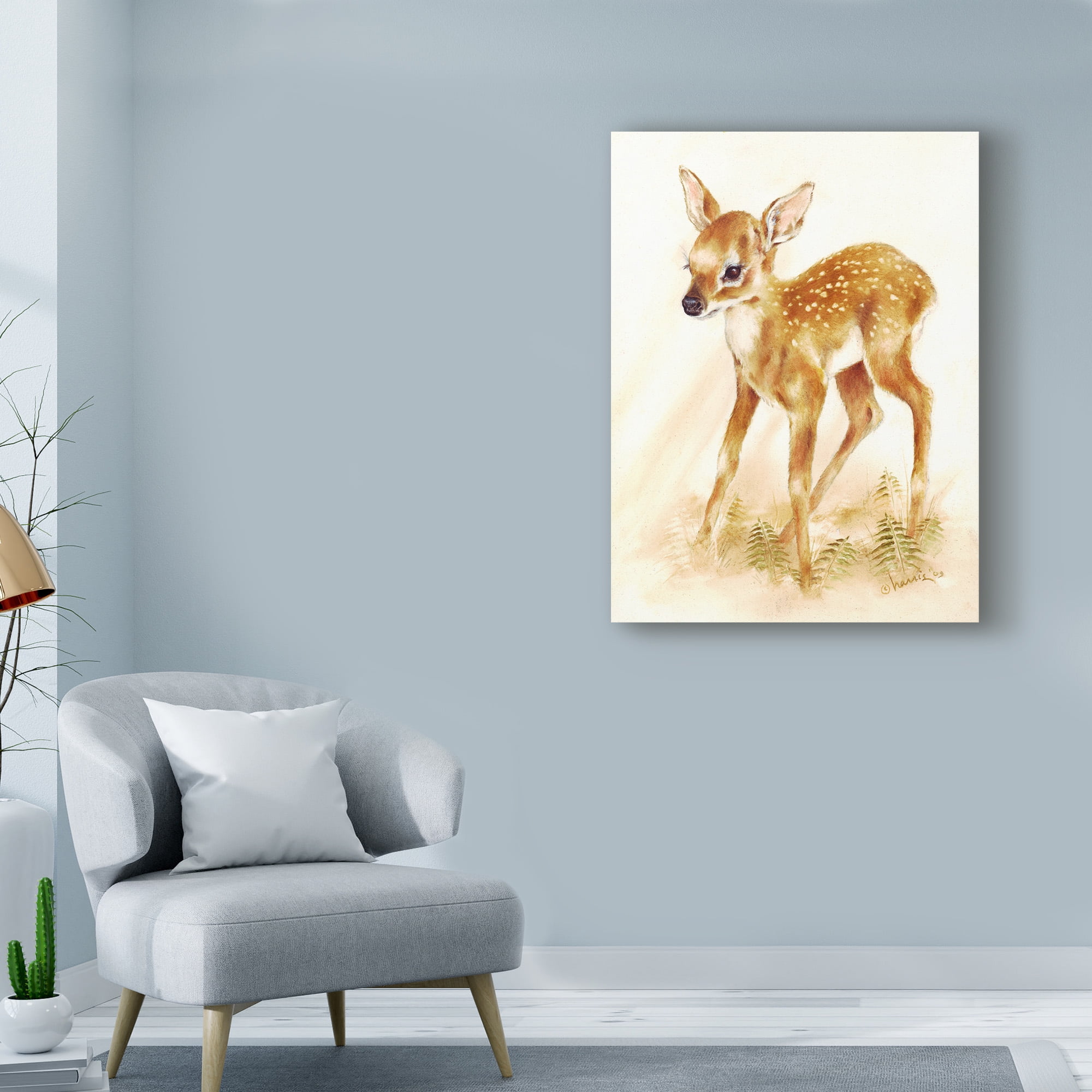 Trademark Fine Art 'Fawn' Canvas Art by Peggy Harris