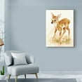 thumbnail image 3 of Trademark Fine Art 'Fawn' Canvas Art by Peggy Harris, 3 of 3