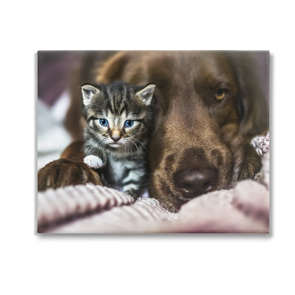 Stupell Industries Kitten & Dog Snuggling Animals & Insects Painting Gallery Wrapped Canvas Art Print Wall Art, 20 x 16