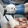 thumbnail image 4 of Manta Comsmart Dog para perros pequeños, paquete de 6 unidades, 24 x 28 cm, forro polar de doble cara, 4 of 7
