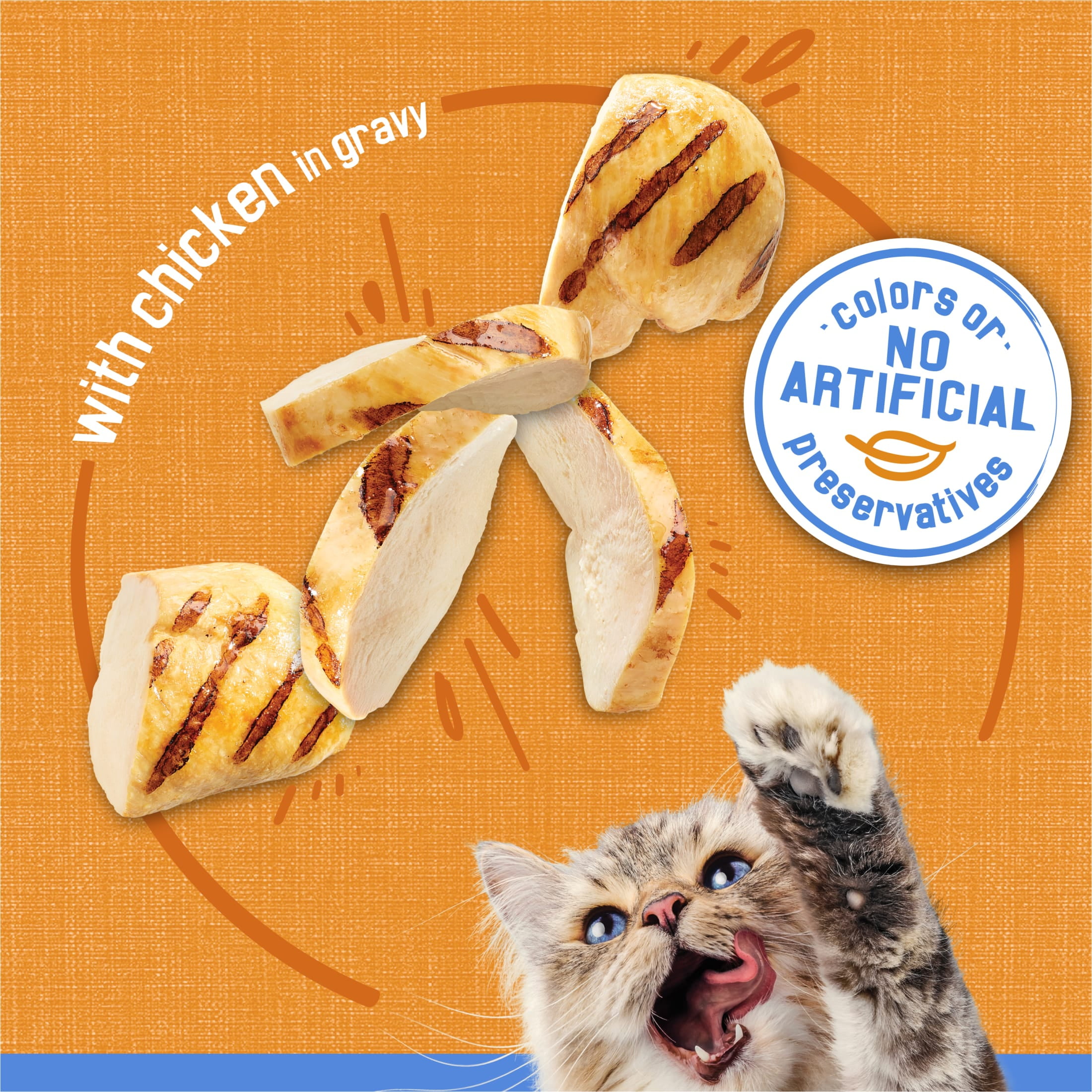 (6 pack) Purina Friskies Shreds, Chicken in Gravy, Wet Cat Food, 5.5 oz Can