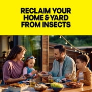Raid Defense System Insect Killer, Indoor and Outdoor Home Defense Bug Spray for Ants, Roaches, Spiders and Flies, 15 oz