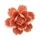 thumbnail image 1 of Yuarrent Flores de cerámica, flor tridimensional, artesanías para colgar en la pared, sala de estar, arte de negocios, decoración, Mural de Decoración del hogar Naranja Pequeña, 1 of 6