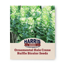 Harris Seeds - F1 Bicolor Crane Ruffle Ornamental Kale Seeds - 100 Seeds