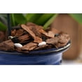 thumbnail image 4 of Organic Orchid Potting Mix by Perfect Plants - 1 Quart, 4 of 5