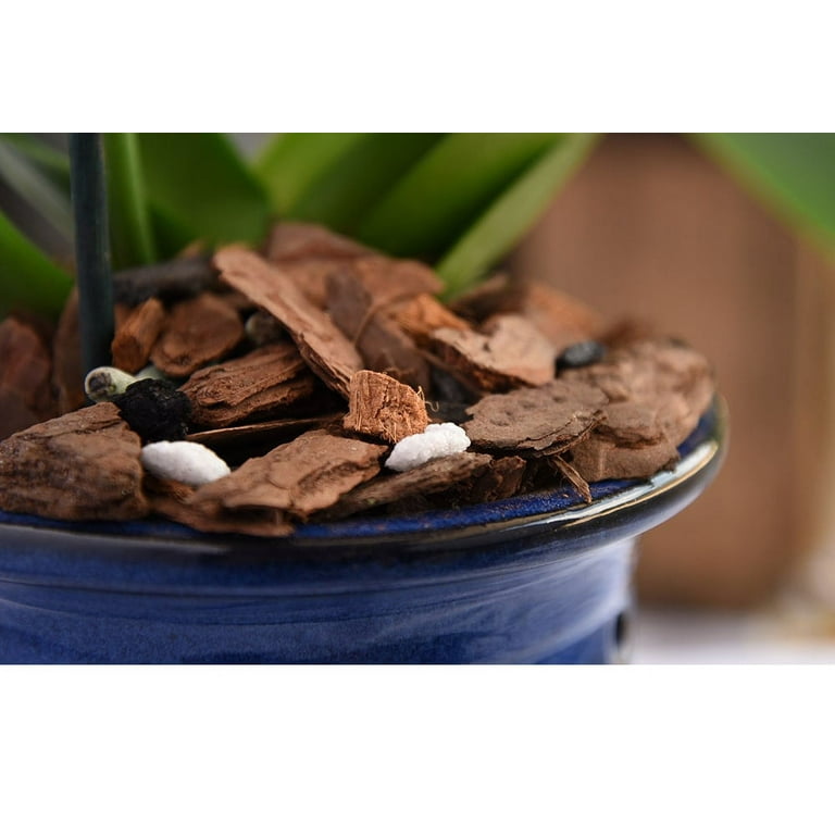 Organic Orchid Potting Mix by Perfect Plants - 1 Quart