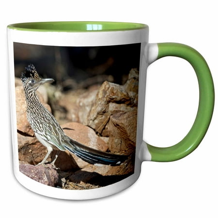 3dRose A Road runner pauses momentarily on its search for food, Arizona. - Two Tone Green Mug,