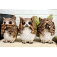 thumbnail image 6 of Ebros See Hear Speak No Evil Wise Owls Decor Set Wisdom Of The Woods Owl Hoot, 6 of 6