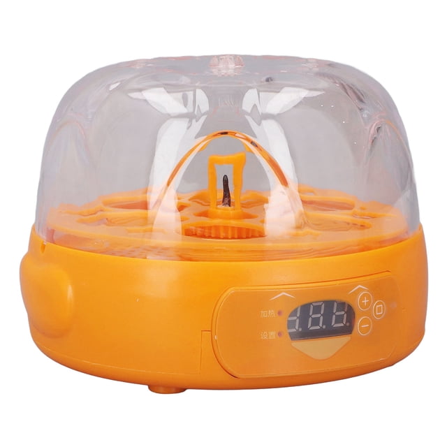 Mini Incubadora De Huevos Digitales Completamente Automáticas 6 Huevos Con Turner Automático Para Codorniz De Pato De Pollo Amarillo