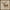 Brown cream, variant on Great Bay Home Rustic Lodge Microfiber Wrinkle Resistant Sheet Set  (Twin, Lodge - Moose)