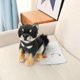 thumbnail image 3 of Muñeco de peluche de perro Akita para niños y niñas, muñeco de peluche suave de 25 estilos, regalo de cumpleaños y Navidad, 3 of 5