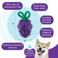 thumbnail image 3 of Outward Hound by Planet Dog Dental Grapes 2-in-1 Interactive Dog Chew Toy and Treat Stuffer, Medium, Purple, 3 of 7