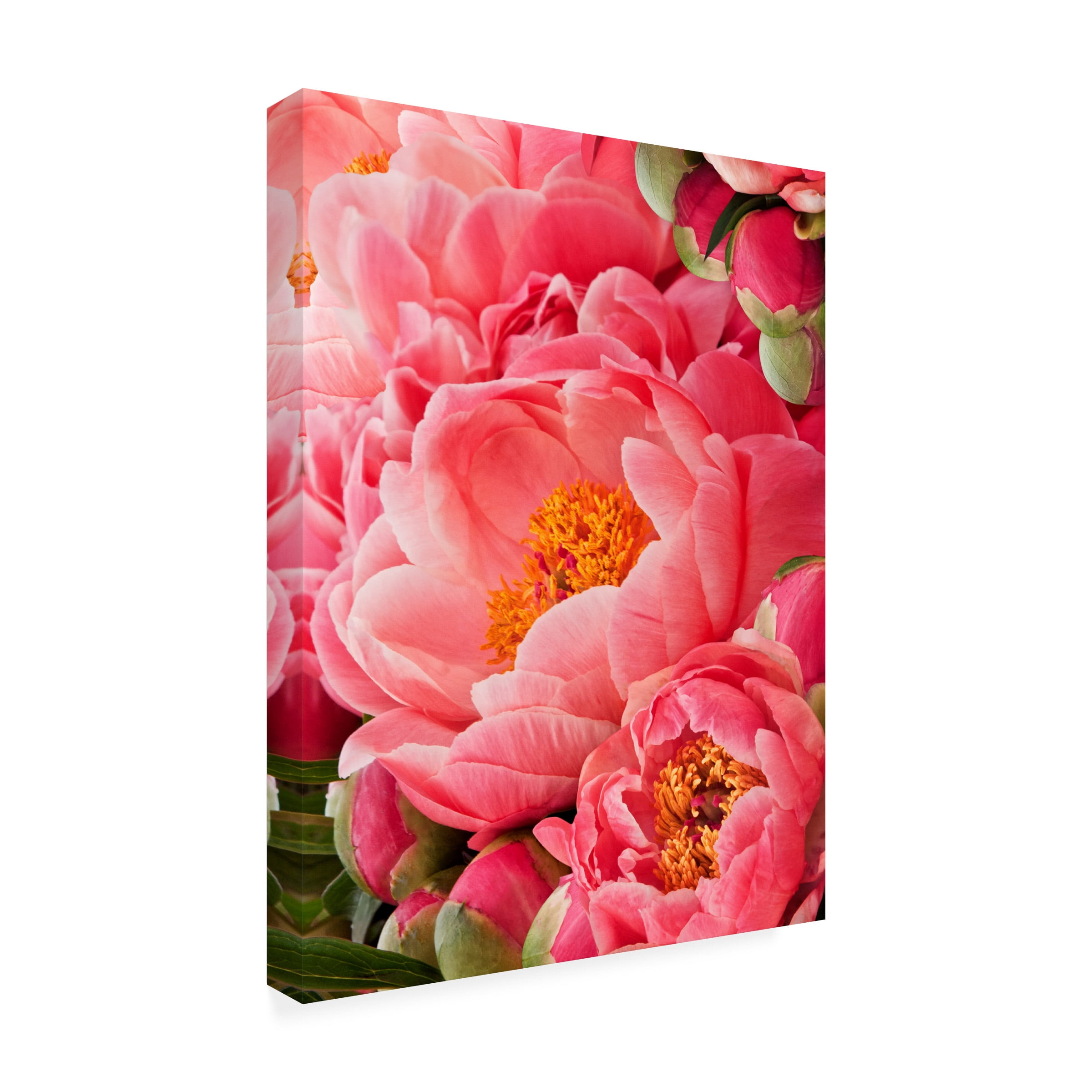 Rachel Perry 'Coral Peonies II' Outdoor Canvas 24x24
