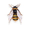 thumbnail image 3 of Vintage Enamel Bumble Bee Crystal Brooch Pin Costume S2X7 Prof P2E4, 3 of 9