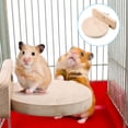 thumbnail image 4 of Jouet Tremplin pour Animaux de Compagnie, Petit Hamster pour Animaux de Compagnie Solide Tremplin Jouet Plate-Forme d'Escalade pour Animaux de Compagnie Compact et Léger, 4 of 11