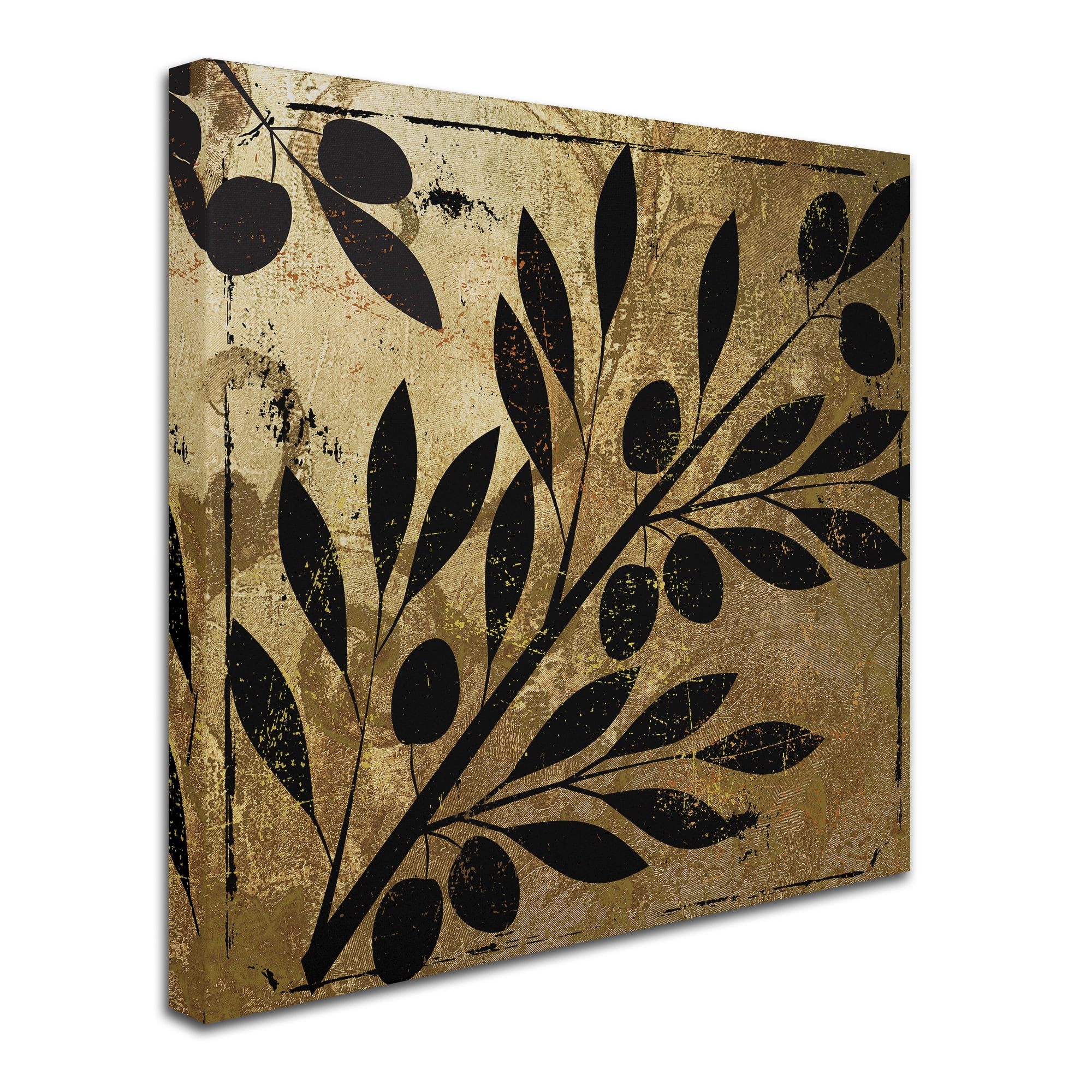 Trademark Fine Art "Bellissima II" Canvas Art by Color Bakery