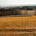 thumbnail image 3 of Trident Fence 4' x 100' 16ga. Welded Wire Fence Roll Black PVC Coated - 2"x 2" Mesh, 3 of 5