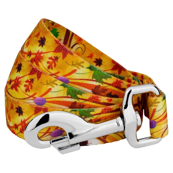 Country Brook Petz® 1/2 inch Autumn Wind Dog Leash, 4 Foot
