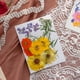thumbnail image 4 of Advancent Artesanía de flores secas naturales Flores prensadas Ramos en relieve Decoración para tarjetas de boda Pintura de álbum de recortes Flores artificiales  Digitare 5 Advancent HA010760-05, 4 of 6