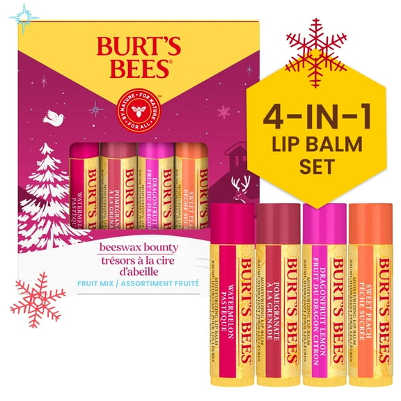 Burt's Bees 100% Natural Origin Moisturizing Lip Balm, Fruit Mix, 4 Tubes