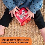 Baby Einstein Alpha Stacks Soft Blocks