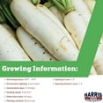 thumbnail image 4 of Harris Seeds - Treated Radish Seeds April Cross Variety Pure White Roots - 250 Seeds, 4 of 6