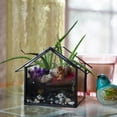 thumbnail image 4 of D'Eco Glass Geometric Plant Terrarium 3Pk - Hanging Brass Triangle, House & Prism Planters - Succulents, Air Plants, Moss - Home, Wedding & Office Decor- Gift Idea for Plant Lovers, 4 of 5
