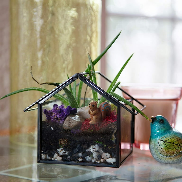 Hand Crafted, Accents, Air Plants For Terrarium Mix Match For A Set Of 3  Easy Care Fairy Gardens