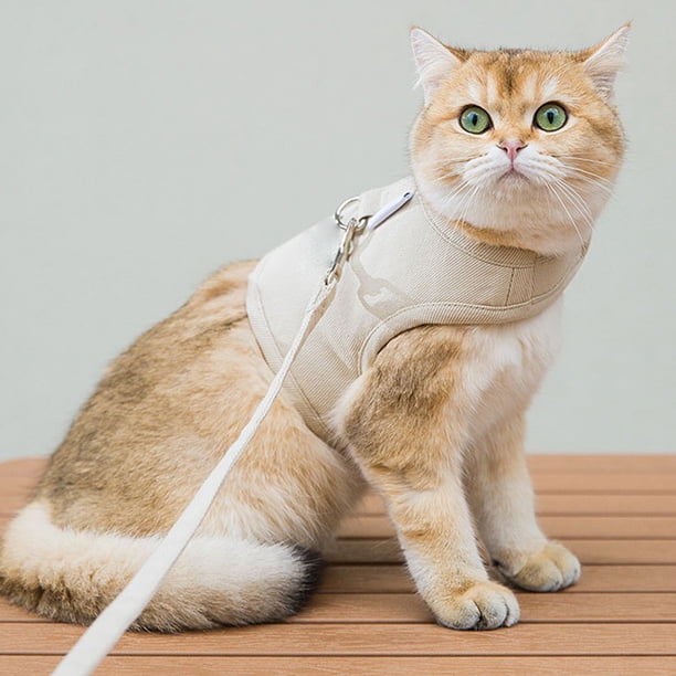 Arnés Chaleco Para Gatos - Ajustable, Con Correa, Diseño Antiescape Y Reflectante, Para Pasear Y Viajar, Tallas XS A L