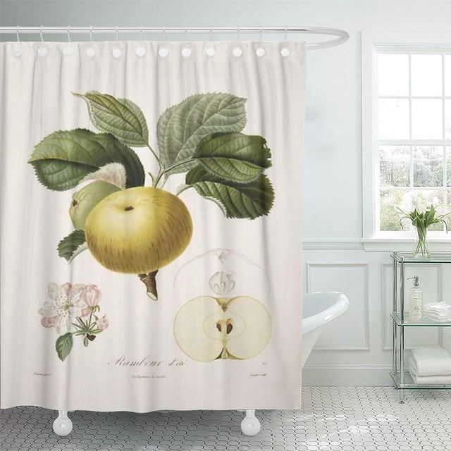 ABPHQTO Fruit Vintage Apple Food Dining Botanical Cortina de ducha 160x180 cm