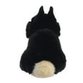 thumbnail image 5 of Aurora - Miyoni Tots - 7.5" Netherland Dwarf Bunny - Black, 5 of 5