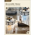 thumbnail image 4 of Ventilador de techo con luces Fanbulous de 20" con control remoto, 4 of 7